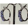Image 2 : #11-.925 SILVER TANZANITE EARRINGS W/ COA