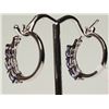 Image 3 : #11-.925 SILVER TANZANITE EARRINGS W/ COA