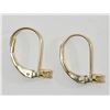 Image 2 : #36-14K YELLOW GOLD DIAMOND EARRINGS W/ COA