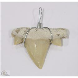 #43-REAL SHARK TOOTH W/ PENDANT WIRE WRAP