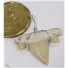 Image 2 : #43-REAL SHARK TOOTH W/ PENDANT WIRE WRAP