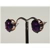 Image 2 : #46-14K YELLOW GOLD AMETHYST EARRINGS W/ COA