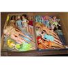 Image 1 : 14 BARBIES/DOLLS IN 2 FLATS POCAHONTOS-TINKERBELL