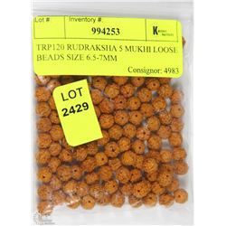 TRP120 RUDRAKSHA 5 MUKHI LOOSE BEADS SIZE 6.5-7MM