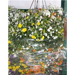 LARGE ASSORTED HANGING FLOWER PLANT X2
