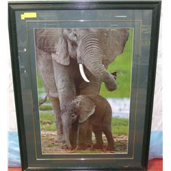 GREEN ELEPHANT WITH BABY FRAMED & MATTED PICTURE