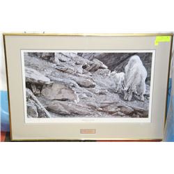 DUCKS UNLIMITED DARREN HALEY SIGNED #'D GOLD