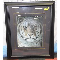 41 "X 34 "ROBERT BATEMAN FRAMED TIGER PICTURE