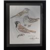 Image 1 : Arthur Shawcross, Lapland Longspur, Color Pencil Drawing