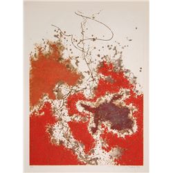 Yannick Ballif, Abstract Sea Turtle, Aquatint Etching with Carborundum