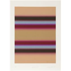 Barry Nelson, Paralax XXI, Aquatint Etching