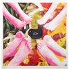 Image 1 : James Rosenquist, Paris Review, Silkscreen