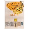 Image 1 : Joe Tilson, Earth, Collaged Media on Paper