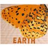 Image 2 : Joe Tilson, Earth, Collaged Media on Paper