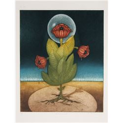 Tighe O'Donoghue, Doldrums, Aquatint Etching
