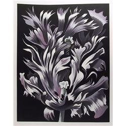Lowell Blair Nesbitt, Parrot Tulip on Black, Serigraph