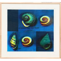 Margaret Riegel, Visual Chemistry - Shell Nose, Digital Print