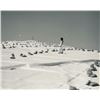 Image 1 : Debranne Cingari, Final Destination III, Photograph