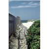 Image 1 : Robert Gambee, Beach Path, Digital C-Print Photograph