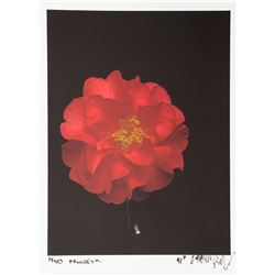 Jonathan Singer, Dahlia from Huntington Beach, CA, Photograph