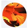 Image 1 : Jonathan Singer, Parrot Tulip, Digital Inkjet Print