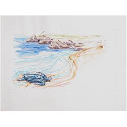 Marshall Goodman, Sea Turtle on Beach 387, Watercolor Painting