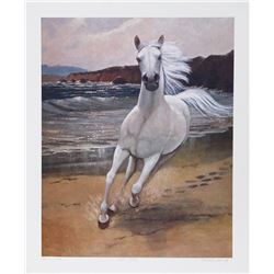 Caroline Schultz, Running free, Lithograph