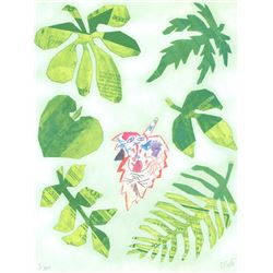 Otavio Roth, Medicinal Plants - United Nations, Lithograph