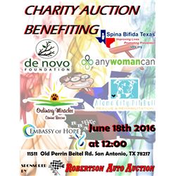 RRAA presents Charity Auction Bazaar (Live Only)