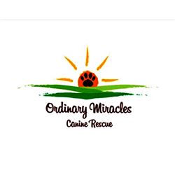 Ordinary Miracles