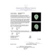 Image 5 : GIA Cert 9.78ct Emerald and Diamond Ring - 14KT Yellow Gold