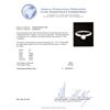 Image 5 : 0.59ct Diamond Solitaire Ring - 14KT White Gold