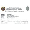 Image 2 : 12.91ctw Cabochon Paraiba Tourmaline Parcel
