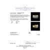 Image 5 : 3.00ctw Diamond Ring - 14KT Yellow Gold