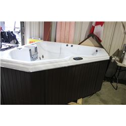 2014 CALSPA SYSTEM 2000 2 PERSON 28 JET LED SPA LIGHT HYDRO STREAMER 110 VOLT HOT TUB WITH COVER