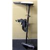 Image 1 : 15 HP TROLLING MOTOR