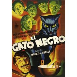  EL GATO NEGRO.