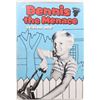 Image 1 : DENNIS THE MENACE. SEAONS 1,2,3, THE FINAL SEASON
