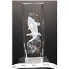 Image 1 : 3D LASER ETCHED CRYSTAL CUBE