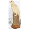 Image 1 : CARVED BIRD ORNAMENT
