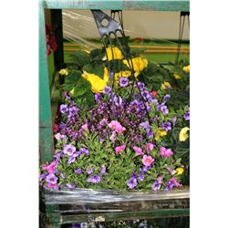 TWO 10" HANGING BASKETS AS THEY COME