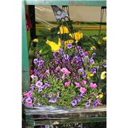 TWO 10" HANGING BASKETS AS THEY COME