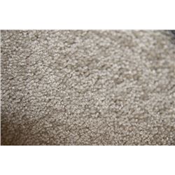 #1 CARPET ROLL END 12'5" X 12 FT