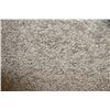 Image 1 : #1 CARPET ROLL END 12'5" X 12 FT