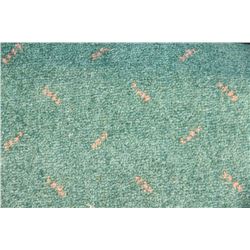 #25 CARPET ROLL END 53' X 12 FT
