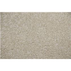 #4 CARPET ROLL END 13' X 12FT