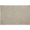 Image 1 : #4 CARPET ROLL END 13' X 12FT