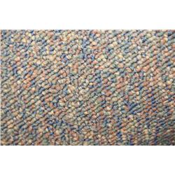 #34 CARPET ROLL END 50' X 12 FT