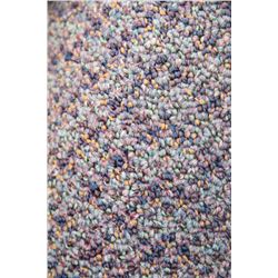 #29 CARPET ROLL END 31'1" X 12 FT