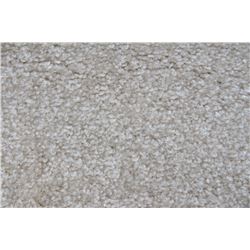 #28 CARPET ROLL END  28'3" X 12 FT